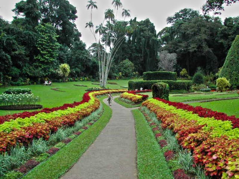 Real Home Stay Nuwara Eliya Exterior foto
